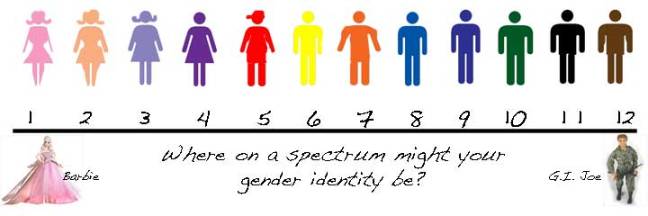A simplified gender spectrum 